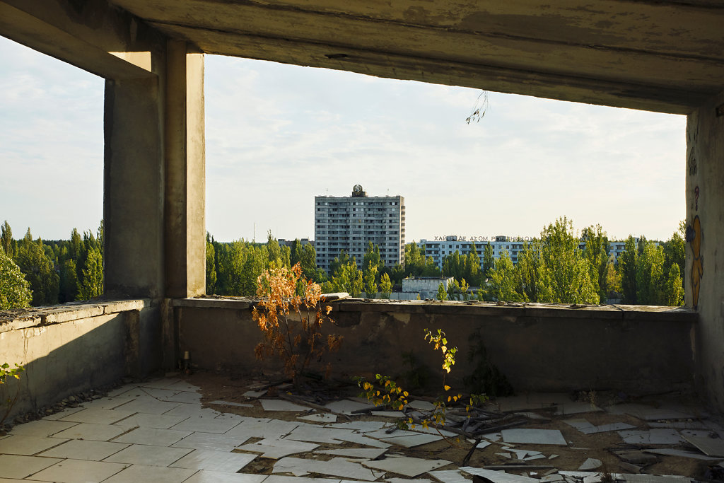 chernobyl-dogs-prypjat-zone-6.jpg
